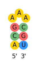 base pair 2D rna structure