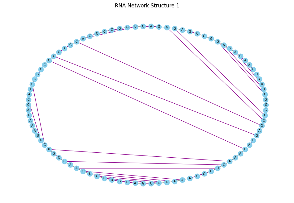 Base Pair Circular Network
